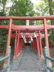 新屋山神社の鳥居