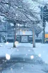 守りの神　藤基神社(新潟県)