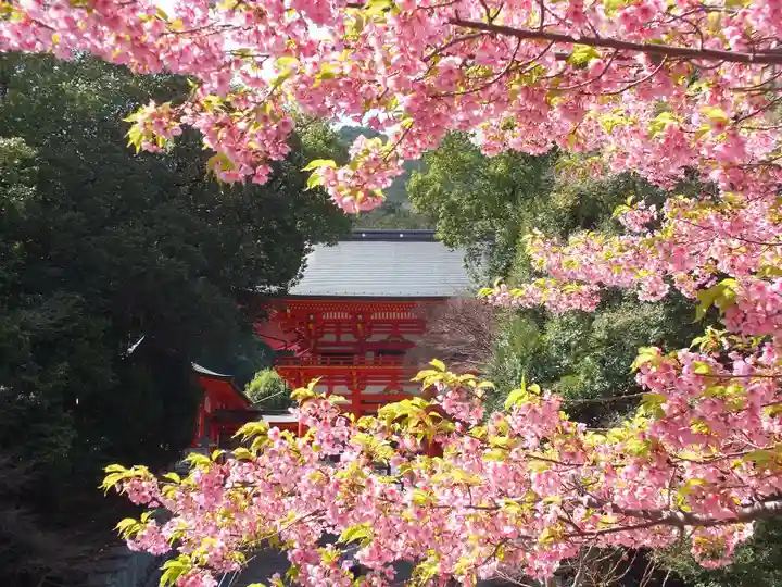 近江神宮のその他建物