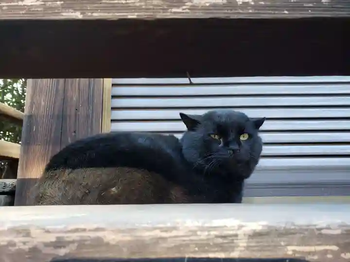 荻窪白山神社(東京都)