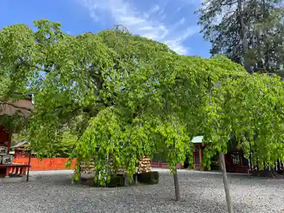 富士山本宮浅間大社のその他建物