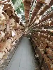 川越氷川神社の絵馬