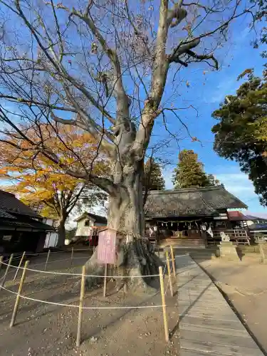 白鳥神社(長野県)