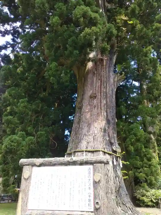 清澄寺(千葉県)