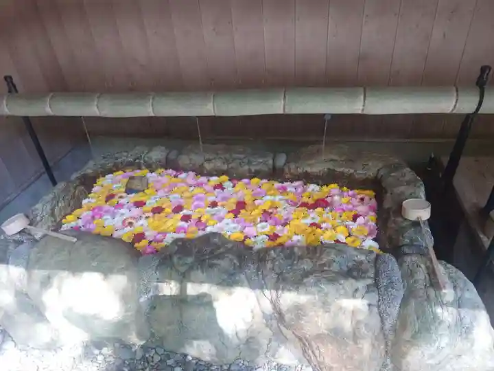 伊良湖神社(愛知県)