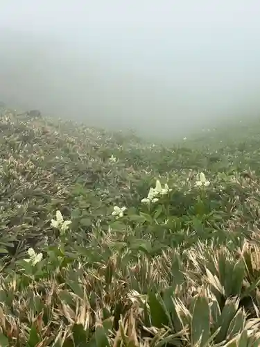 白山比咩神社　奥宮(石川県)