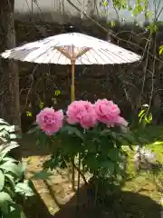 岡寺（龍蓋寺）(奈良県)