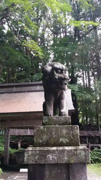 戸隠神社宝光社の狛犬