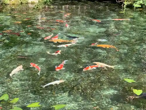 根道神社(岐阜県)