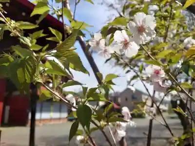 正八幡宮(神奈川県)