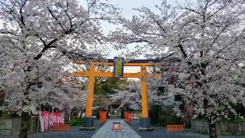 平野神社の鳥居