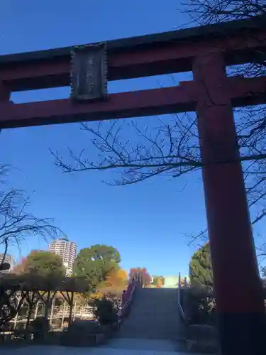 亀戸天神社(東京都)