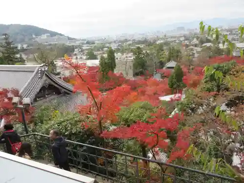 禅林寺（永観堂）の景色