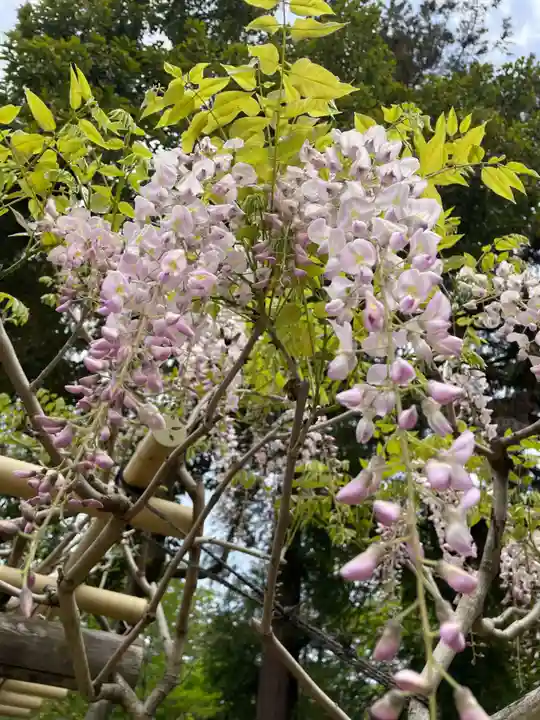 歌泉堂(春日大社神苑萬葉植物園内鎮座)(奈良県)