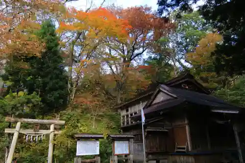 隠津島神社の鳥居