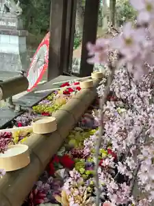 群馬県護国神社(群馬県)(2026年03月20日(金) 10時35分06秒投稿)