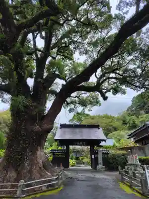 安楽寺(静岡県)