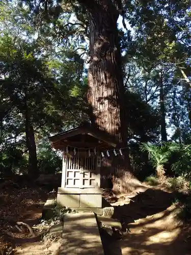 日吉神社(千葉県)