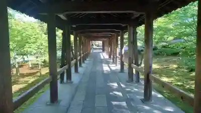 東福禅寺(東福寺)(京都府)