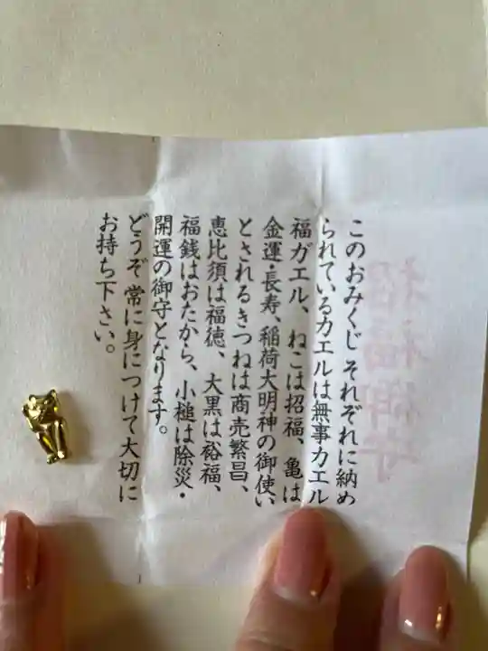 龍光寺のおみくじ