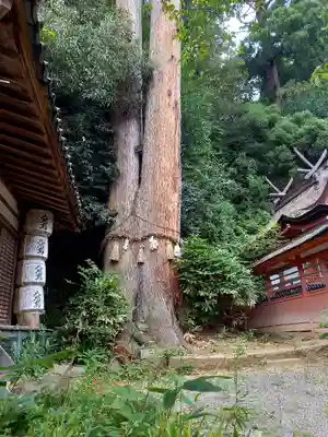 宇太水分神社の自然