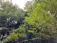 大宮温泉神社(栃木県)