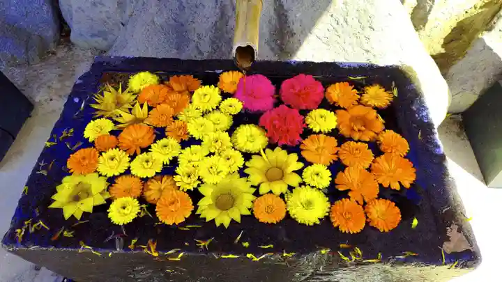 差出磯大嶽山神社 仕事と健康と厄よけの神さまの手水舎