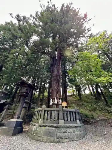 諏訪大社下社春宮(長野県)