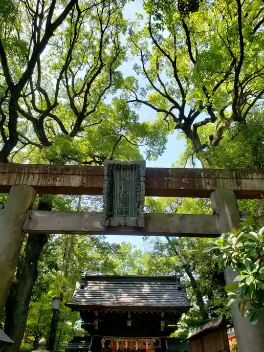 赤坂氷川神社(東京都)