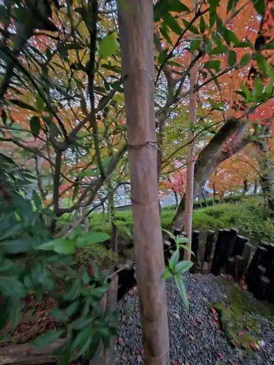 華厳寺(鈴虫寺)(京都府)
