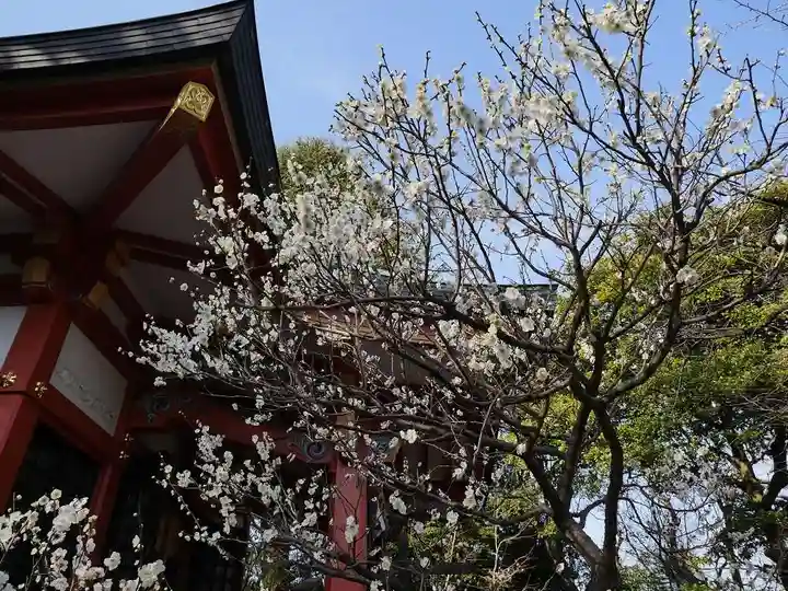 芝東照宮の自然