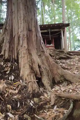 八王寺(埼玉県)