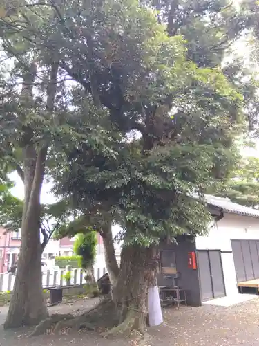八幡神社(福井県)