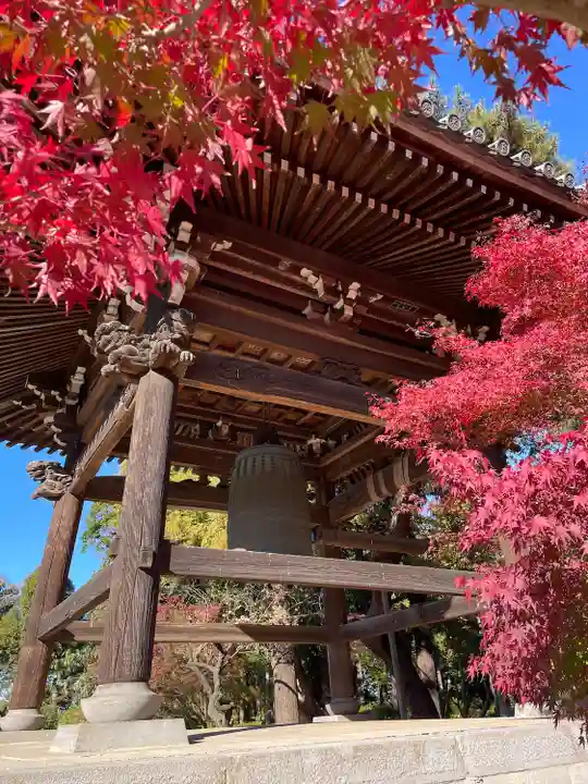 東漸寺(千葉県)