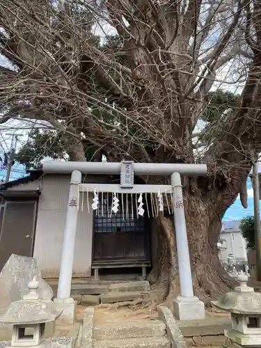 道祖神社の鳥居