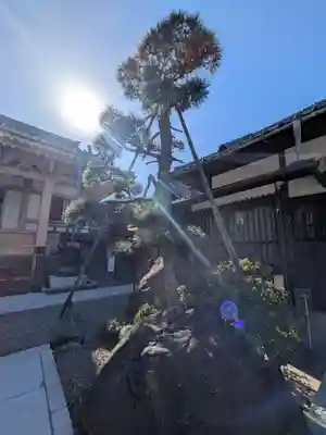 西應寺(東京都)