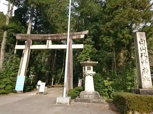 白山比咩神社の鳥居