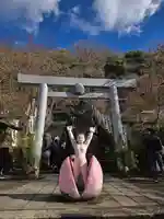 桃太郎神社(栗栖)(愛知県)