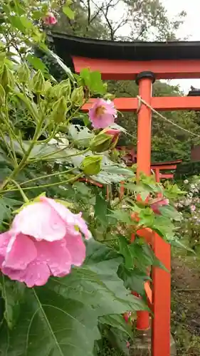 三崎稲荷神社の鳥居