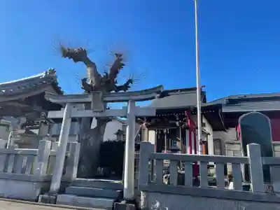 秋葉神社の鳥居