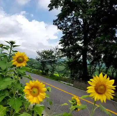 高司神社〜むすびの神の鎮まる社〜(福島県)