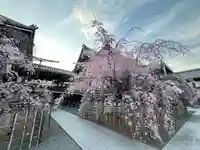 佛光寺(京都府)