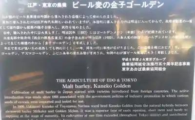 豊玉氷川神社の歴史