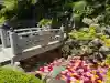 岡寺(龍蓋寺)(奈良県)