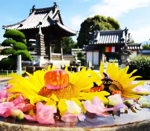 真言宗　善通寺派　薬王寺のその他建物