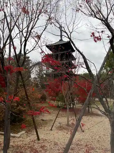 仁和寺のその他建物
