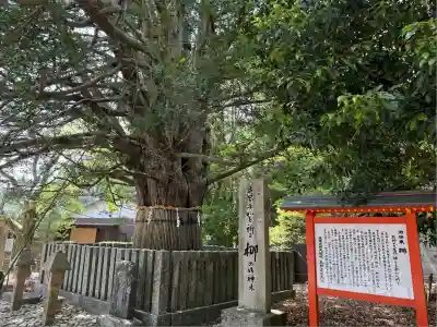 熊野速玉大社(和歌山県)