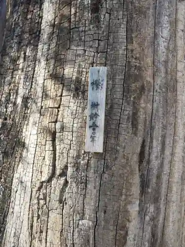 今宮坊のその他建物