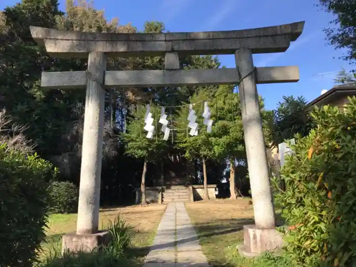 金比羅宮の鳥居