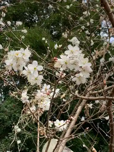 鷲宮神社の自然